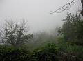 Brumes épaisses sous la pluie, brrr